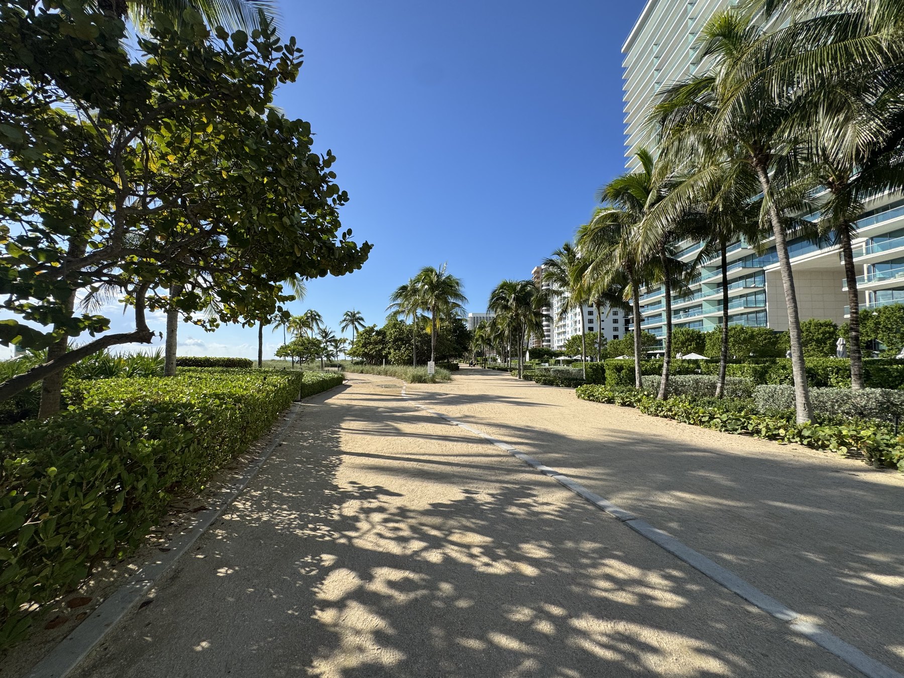 Camino de coquina entre los edificios y la playa en Bal Harbour, con setos recortados y palmeras, 27 de septiembre de 2026
